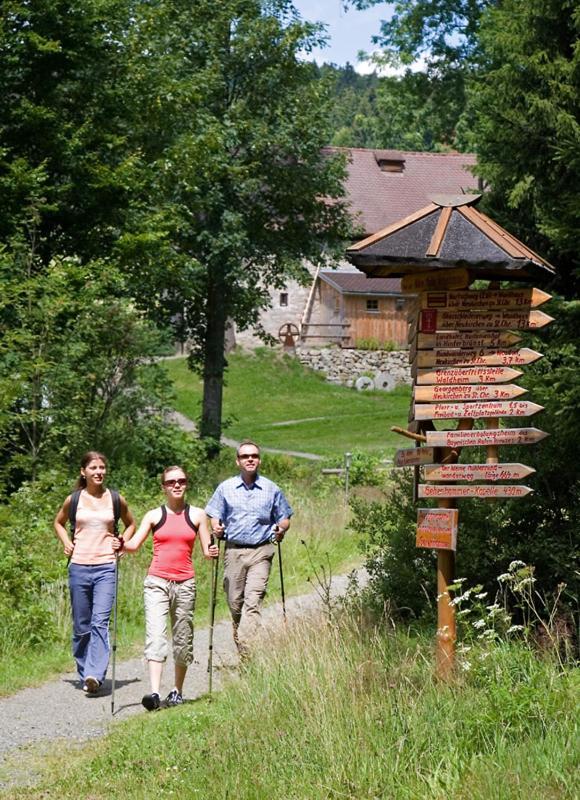 Landgasthof Am Sonnenhang Vohenstrauss Exteriér fotografie